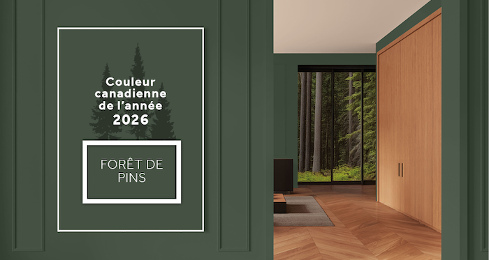 2022 Dulux Paint Colour of The Year: Olive Sprig